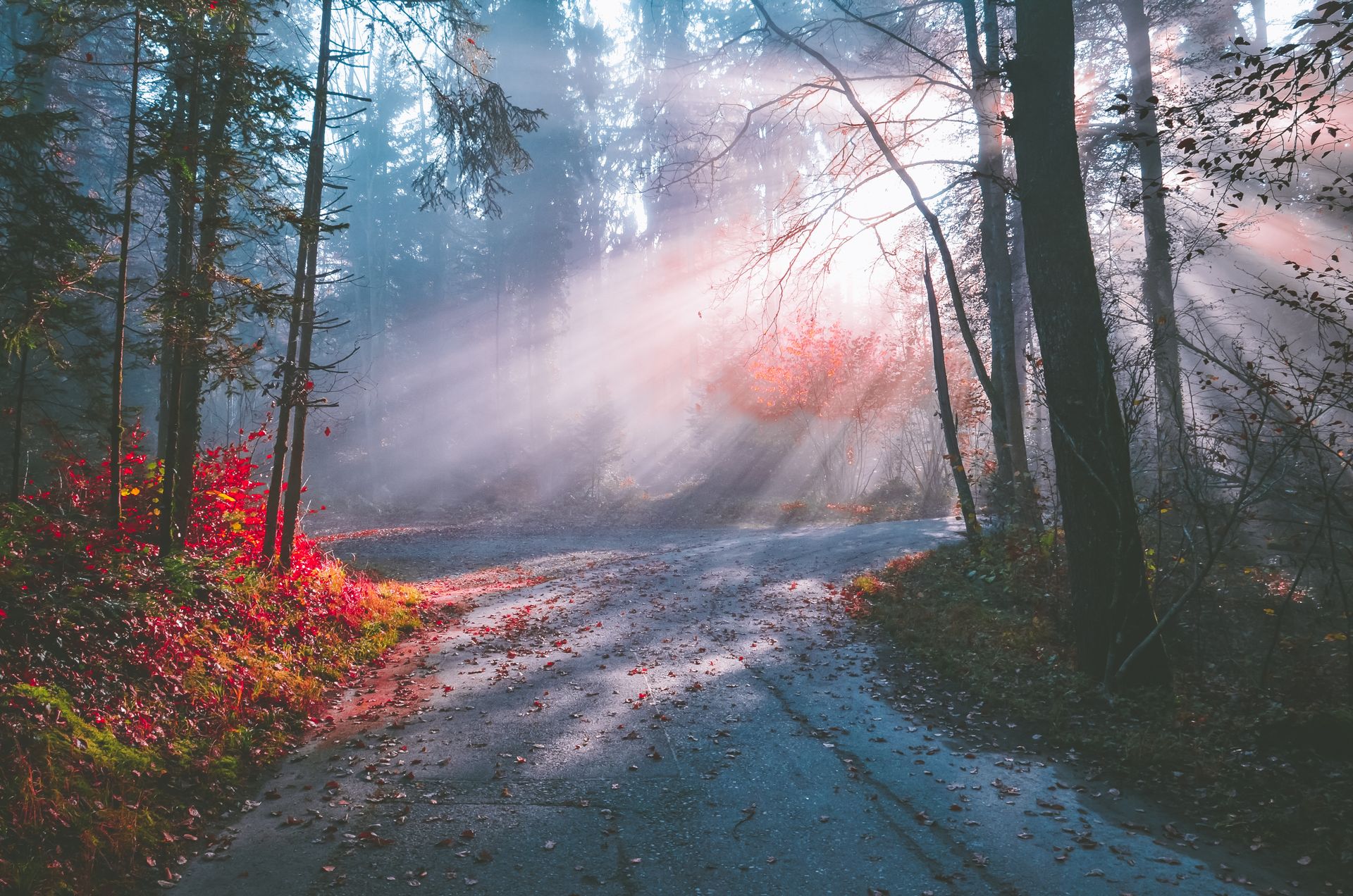 Neptune retrograde in Aries is the one to watch right now